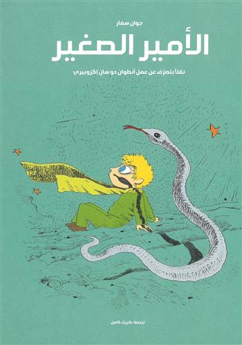 Image de Le Petit Prince en bandes dessinées